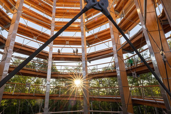 Treetop Observatory and Walk - What You’ll Do: A Simple 1-Stop Itinerary That Works