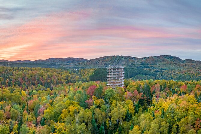 Treetop Observatory and Walk - Timing and How Long It Takes: Build a Calm Schedule