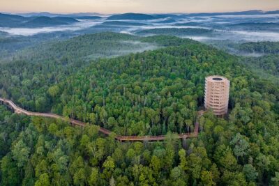 Treetop Observatory and Walk - Getting There From Montreal: The Price Factor Everyone Misses