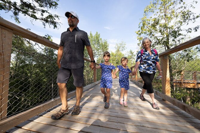 Treetop Observatory and Walk - Included Perks That Make the Day Smoother