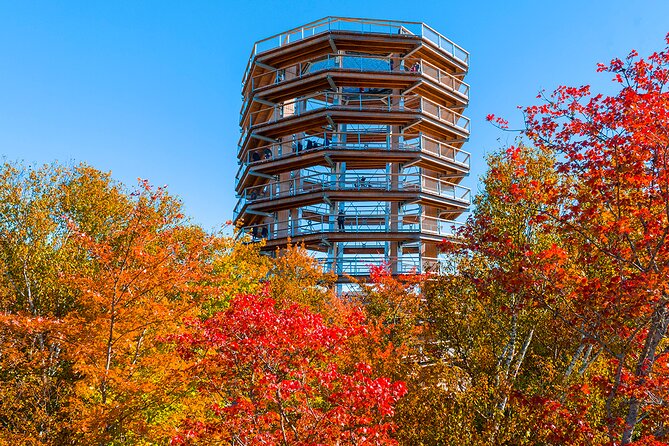 Treetop Observatory and Walk - The Tower Details: The Net Section and Photo Moments