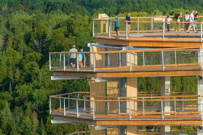 Treetop Observatory and Walk - Staff and Atmosphere: Professional, Sometimes Quiet