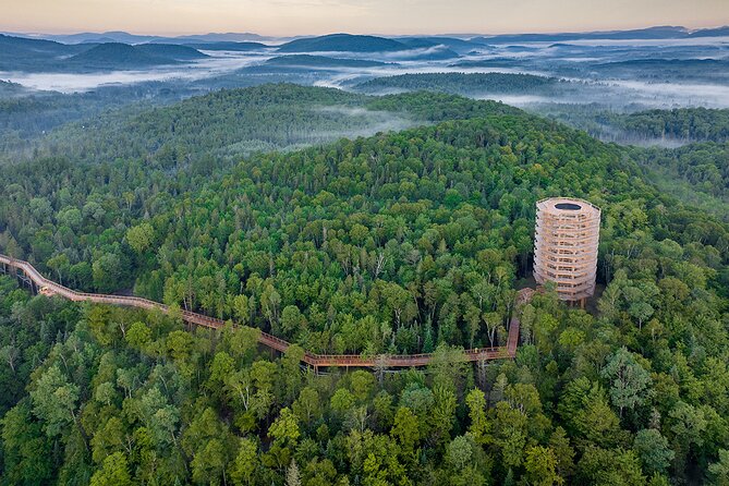 Treetop Observatory and Walk - Getting There From Montreal: The Price Factor Everyone Misses