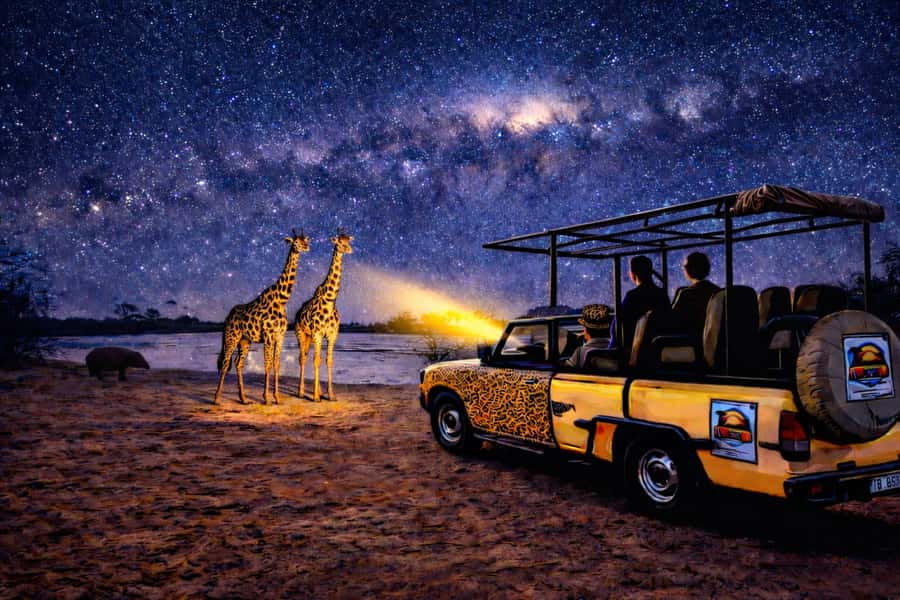 Victoria Falls: Bush Experience and Stargazing D-F-ES-GB - Key things to know before you go