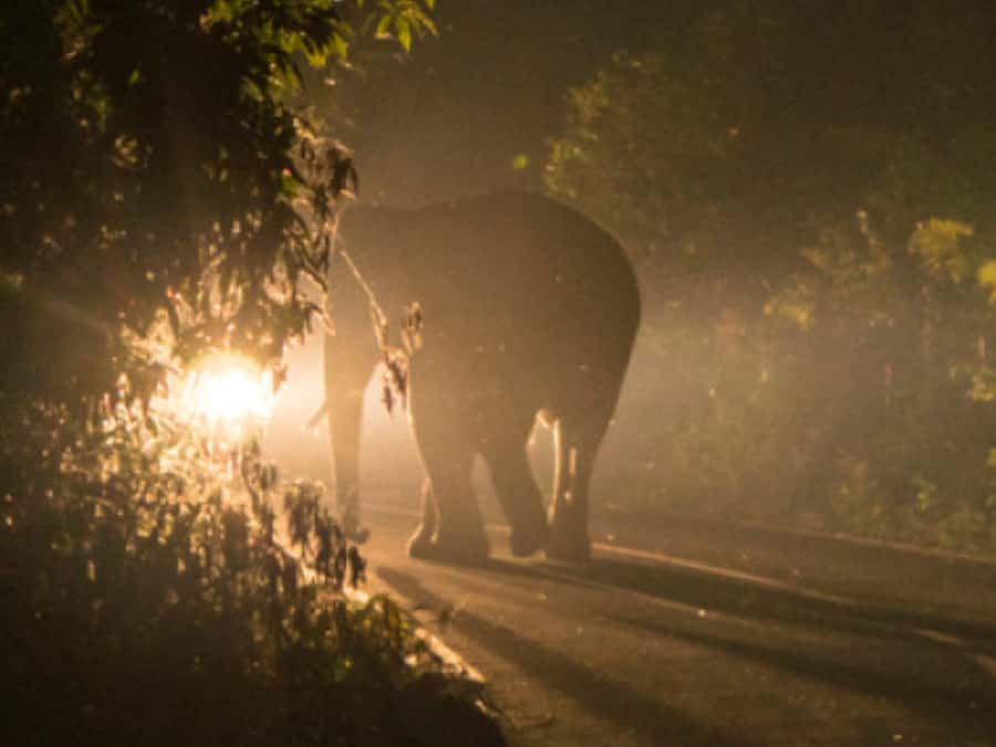 Victoria Falls: Bush Experience and Stargazing D-F-ES-GB - Off-road drive to a secluded stargazing spot