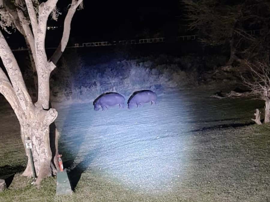 Victoria Falls: Bush Experience and Stargazing D-F-ES-GB - Group size and the pacing: why it feels personal