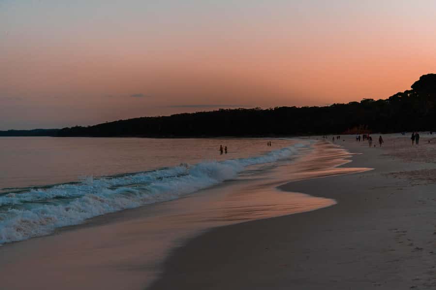 Vincentia: Jervis Bay Beach Stargazing with an Expert - Key highlights to know before you go