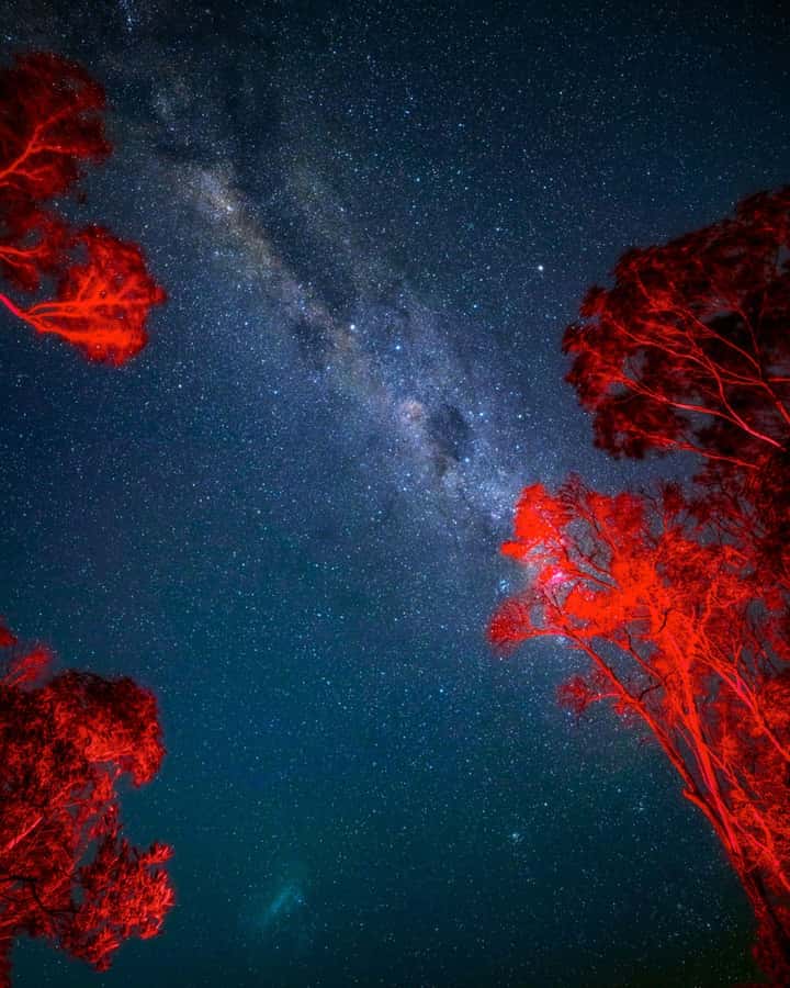 Vincentia: Jervis Bay Beach Stargazing with an Expert - Price and value: is $65 worth 90 minutes of stargazing?